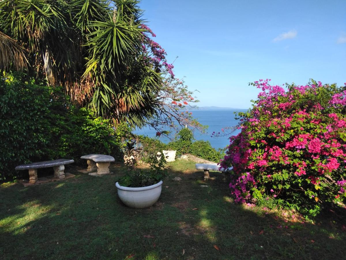 Irresistible View-Mobay Club 1408 Apartman Montego Bay Kültér fotó