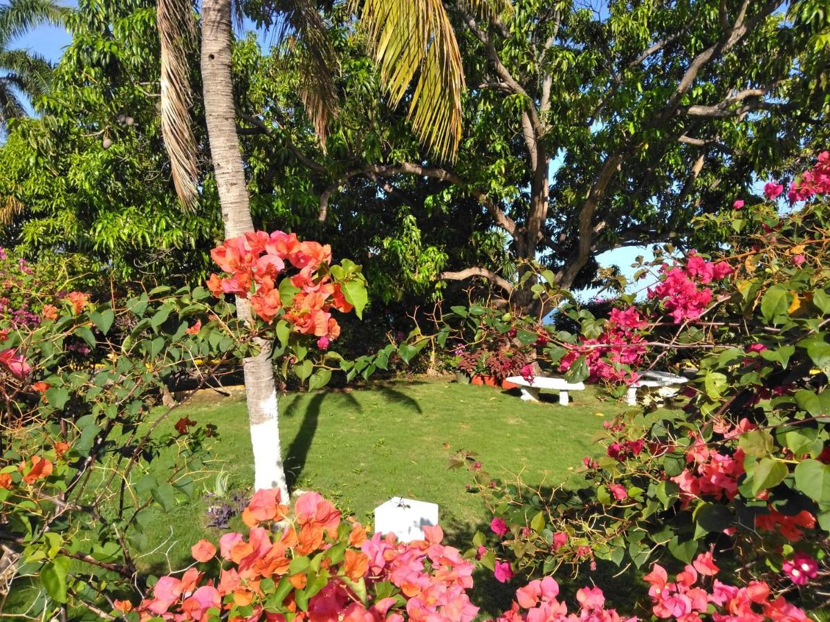 Irresistible View-Mobay Club 1408 Apartman Montego Bay Kültér fotó