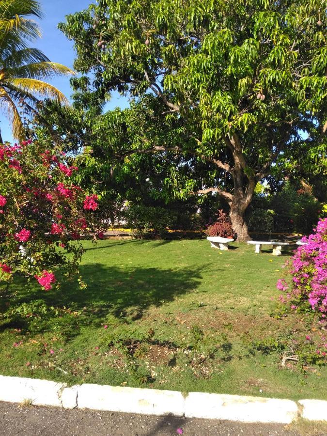 Irresistible View-Mobay Club 1408 Apartman Montego Bay Kültér fotó