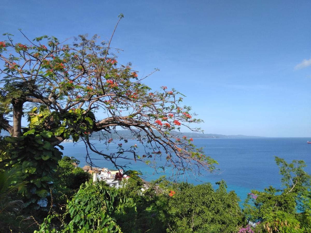 Irresistible View-Mobay Club 1408 Apartman Montego Bay Kültér fotó
